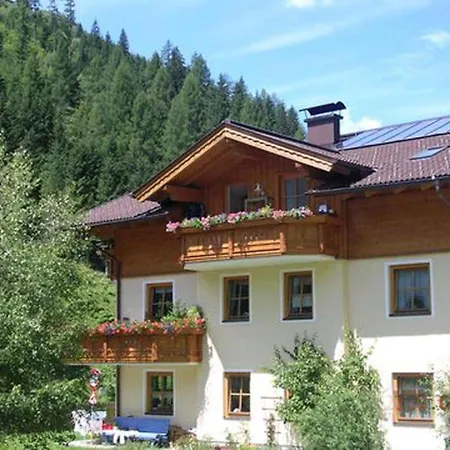 Apartament Fintinn *